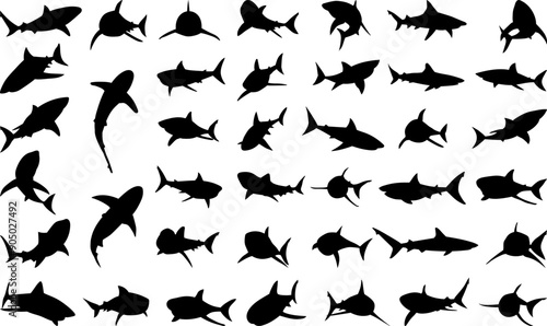 set of sharks in different angles silhouette, on a white background vector