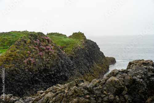 Felsige Küste mit all ihren Farben und kleinen Blumen und Moosen an einem regnerischen bewölkten Tag in Nordirland photo