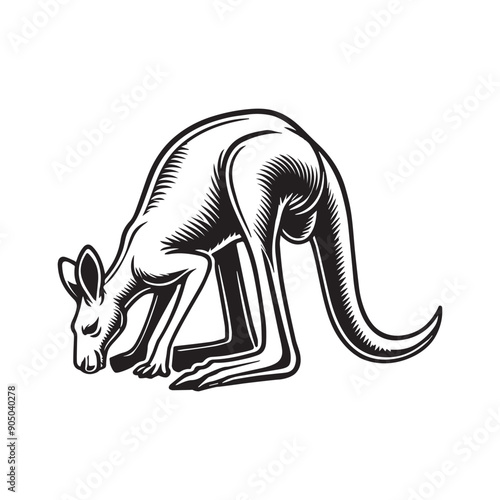Kangaroo Silhouette - Kangaroo Clipart - A kangaroo Feeding Bend  illustration in black and white
