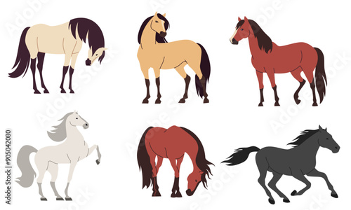 Set of flat vector illustrations on white background. Horses of different colors and breeds . Vector illustration
