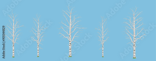 Set of bare birch trees in the early spring  season without leaves against blue sky background. Isolated vector illustration for design elements.