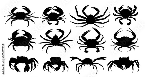 The set silhouettes of sea crabs.
