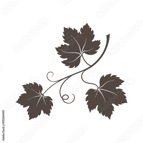 Silhouette of grapevine on white background.