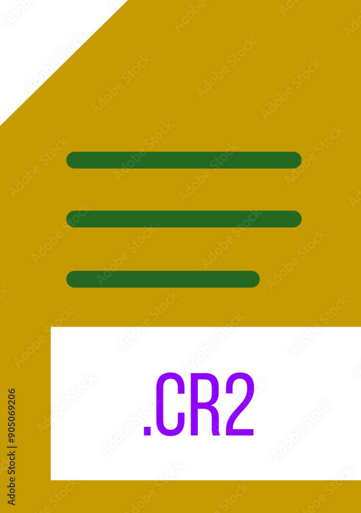 CR2 File extention icon old minimal color fill CR2 File extention icon old minimal color fill