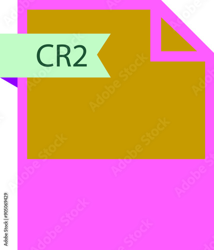 CR2 File format icon roe color fill