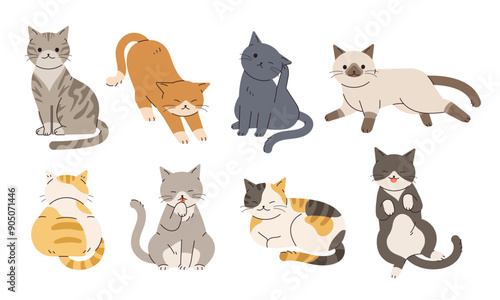A collection of illustrations of cats in various poses.