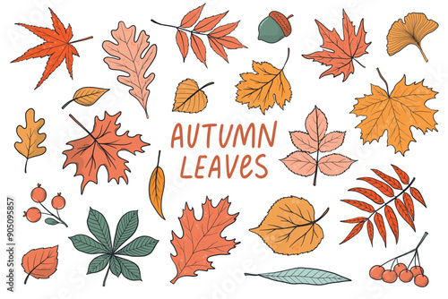 Set of hand drawn autumn leaves isolated on white background. Autumn leaves for stickers, clip art, posters, prints, cards, wallpaper, elements, etc. EPS 10