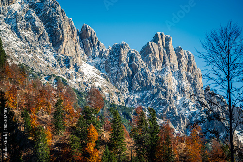 Val Pesarina immersed in autumn atmospheres. Among woods and the ancient Orias stables. photo