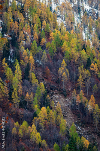 Val Pesarina immersed in autumn atmospheres. Among woods and the ancient Orias stables. photo