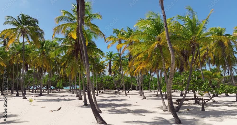 Beautiful Tropical Beach Of Cayo Sombrero Island At Morrocoy National Park, Venezuela - Drone Pullback Beautiful Tropical Beach Of Cayo Sombrero Island At Morrocoy National Park, Venezuela - Drone Pullback