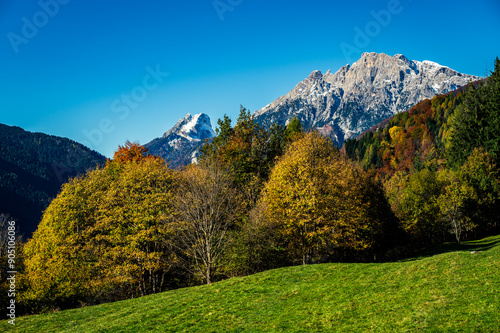 Val Pesarina immersed in autumn atmospheres. Among woods and the ancient Orias stables. photo