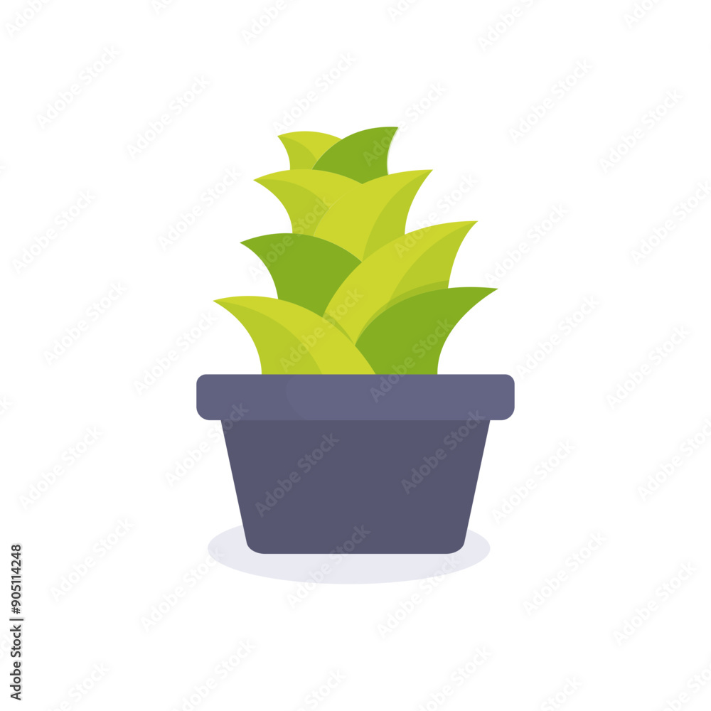 Succulent Plant minimalist vector illustration ,simple transparent graphic element .Isolated on white background Succulent Plant minimalist vector illustration ,simple transparent graphic element .Isolated on white background