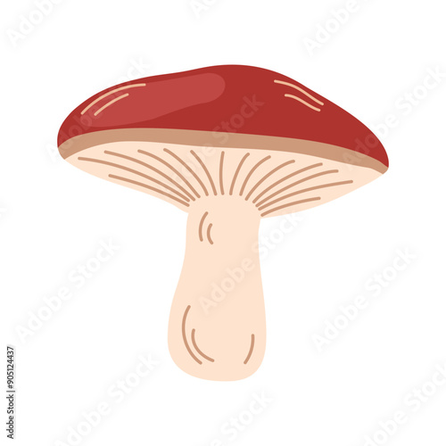 Russula mushroom. Red cap fungi, autumn forest food plant. Gilled fungus. Fall russule icon. Botanical flat graphic vector illustration isolated on white background