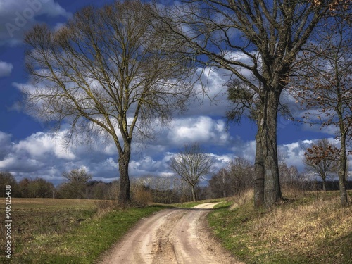 Fototapeta Naklejka Na Ścianę i Meble -  Polna droga na pomorzu