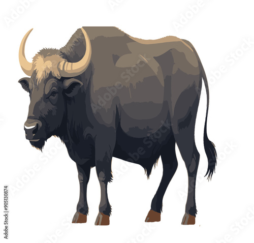  Illustration of an Indian rural  Buffalo 