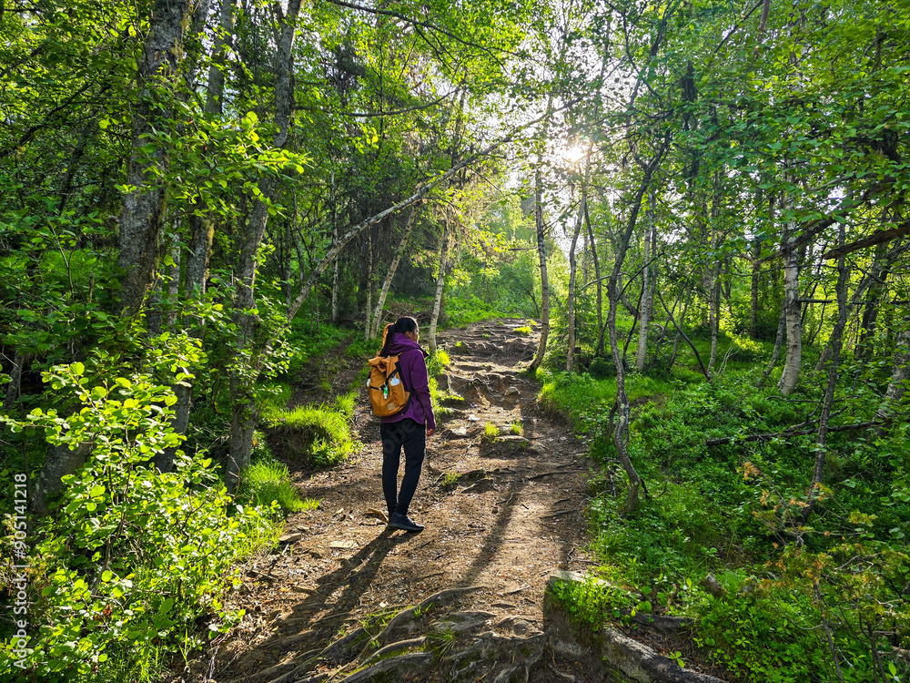 Hiking Through Lush Forest Trails in Norway During a Bright Spring Morning Hiking Through Lush Forest Trails in Norway During a Bright Spring Morning