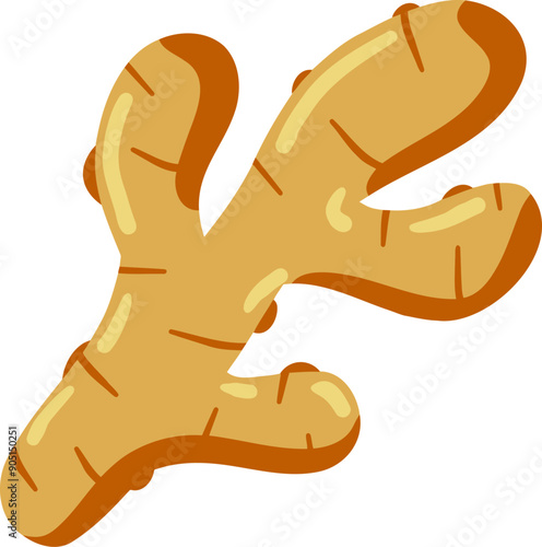 Ginger root. Spicy ingredient flat icon. Asian aroma medicine herb. Raw seasoning vegetable isolated on white background. Spice flavor food