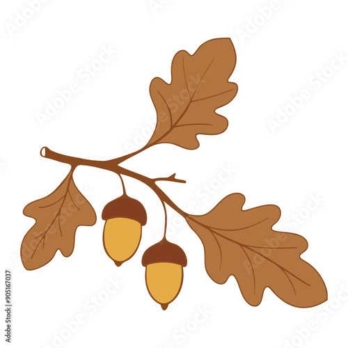 Oak branch with leaves and acorns, brown colors drawing. Isolated on white background.