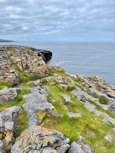 Black-Head-Irland