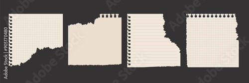 Set of notebook sheets. Torn paper and scraps of a notebook page with uneven edges. Isolated vector illustration.