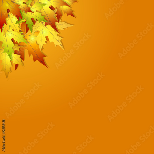 Autumn background for designs. Backgrounds for postcards, banners, posters, postdates, invitations. Background with autumn leaves