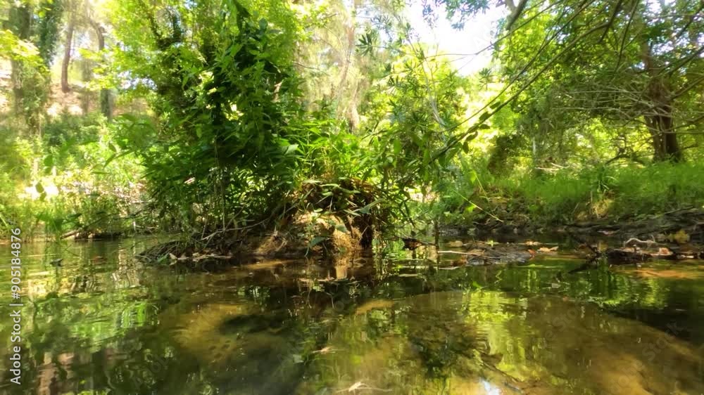 Underwater slow motion video of the river in the forest Underwater slow motion video of the river in the forest
