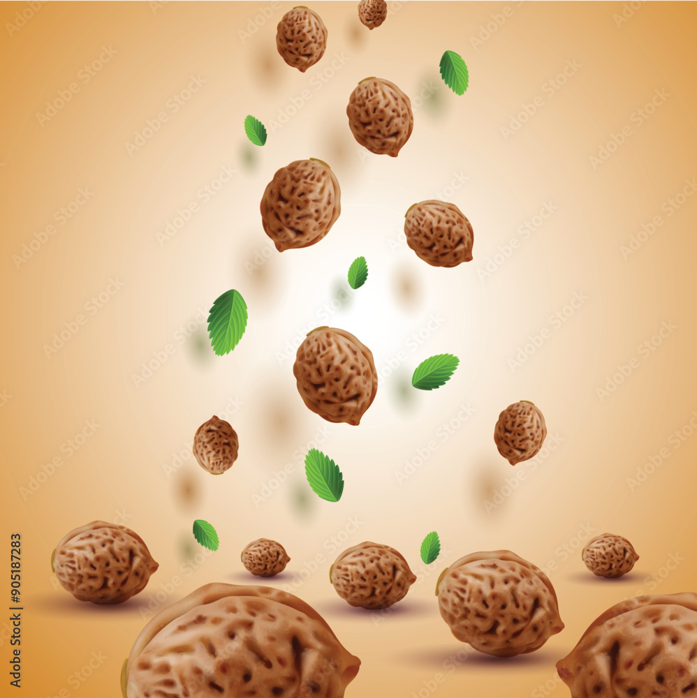 fresh walnut falling down vector illustration fresh walnut falling down vector illustration