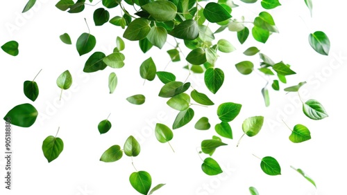 Falling Green Leaves on a White Background