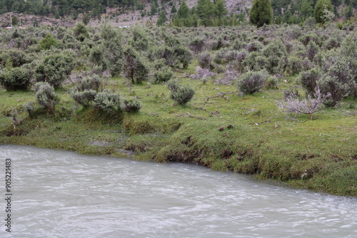 Beautiful, majestic view of the Basho Valley in Skardu, Pakistan. The Basho Valley is located on the heights of the mountains. Basho valley is famous for its natural beauty and picturesque views. 