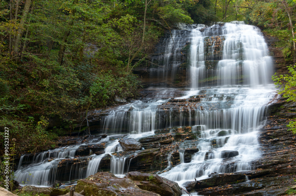 Fototapeta premium waterfall in forest
