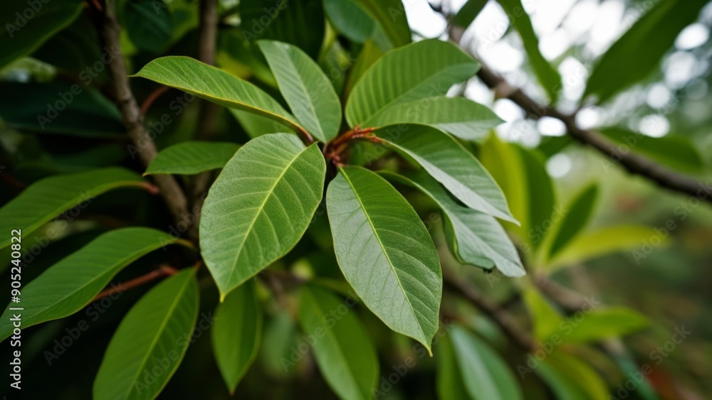 Vibrant green leaves in a tree symbolizing growth and nature Vibrant green leaves in a tree symbolizing growth and nature