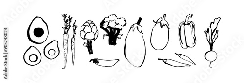 Collection of seasonal root vegetables. Beets and carrots, eggplant and pepper, broccoli, avocado, pea and chili peppers. Vector illustration. Isolated hand drawn linear doodles on white background