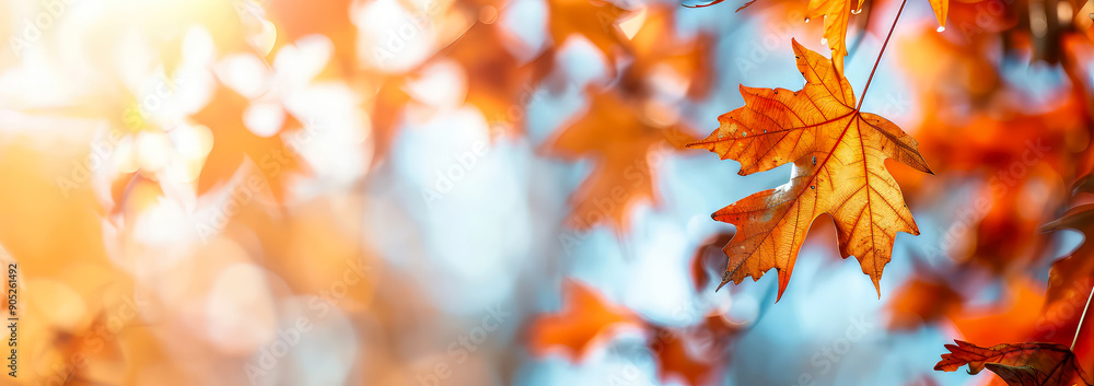 Layout of colorful maple leaves, autumn foliage. Scenic autumn, fall background. Copy space. Generative ai Layout of colorful maple leaves, autumn foliage. Scenic autumn, fall background. Copy space. Generative ai