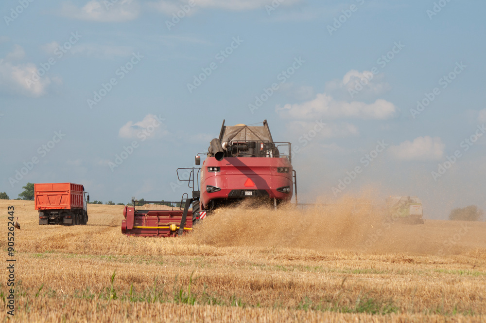 Fototapeta premium combine harvester working on a field