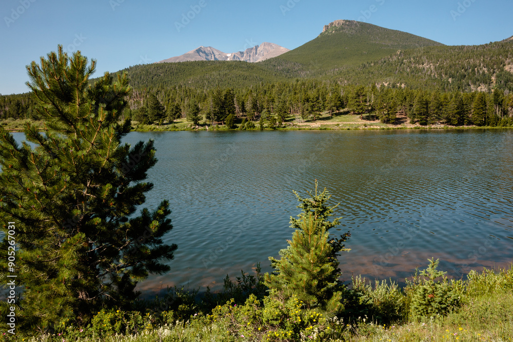 The diistant view of Mount Meeker, Longs Peak and Estes Cone from Lily Lake in Rocky Mountain National Park, Colorado in July The diistant view of Mount Meeker, Longs Peak and Estes Cone from Lily Lake in Rocky Mountain National Park, Colorado in July