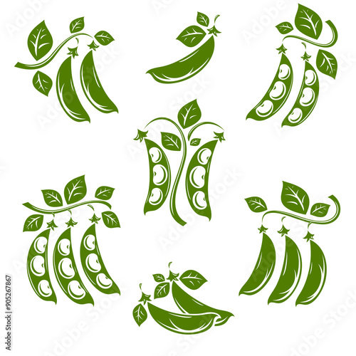 Beans set. Collection icon bean. Vector