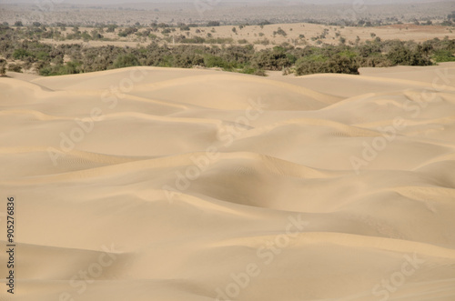 Khuri sand dunes, Thar Desert, Patterned waves, near Jaisalmer, Rajasthan, India, Asia. photo