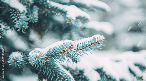 Snow-covered pine branches with a serene backdrop, capturing the tranquil beauty of winter nature in a magical white landscape. © VK Studio