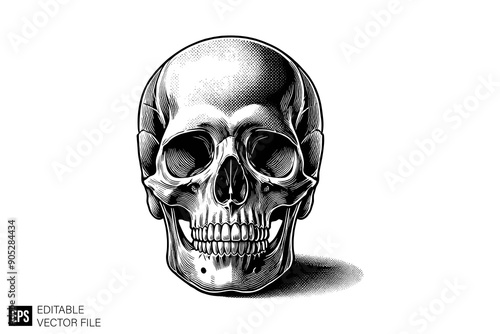 skull head black and white vector clip art silhouette graphic design