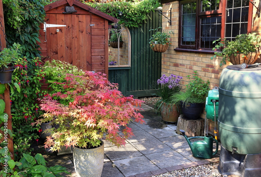 Garden - Back garden shed