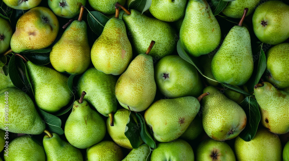 A close-up of a background completely covered with fresh green pears. The rich, juicy fruit creates a visually appealing and mouth-watering display. A close-up of a background completely covered with fresh green pears. The rich, juicy fruit creates a visually appealing and mouth-watering display.
