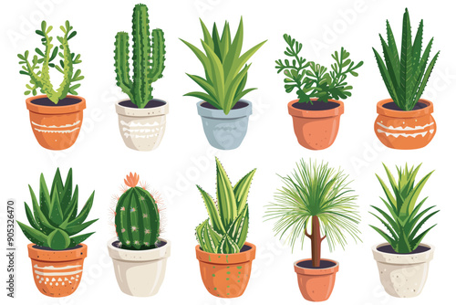 Set of decorative house plants in a pot, Green flora for the house decorations, Beautiful plants in decorative pots, Indoor plants in flower pot, Collection of indoor decorative house plants in a pot