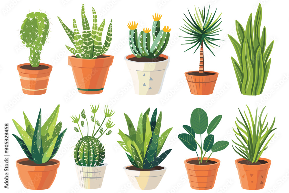 Set of decorative house plants in a pot, Indoor plants in flower pot, Beautiful plants in decorative pots, Collection of indoor decorative house plants in a pot, Green flora for the house decorations Set of decorative house plants in a pot, Indoor plants in flower pot, Beautiful plants in decorative pots, Collection of indoor decorative house plants in a pot, Green flora for the house decorations