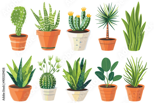 Set of decorative house plants in a pot, Indoor plants in flower pot, Beautiful plants in decorative pots, Collection of indoor decorative house plants in a pot, Green flora for the house decorations