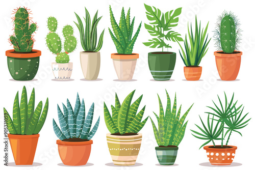 Set of decorative house plants in a pot, Green flora for the house decorations, Beautiful plants in decorative pots, Indoor plants in flower pot, Collection of indoor decorative house plants in a pot