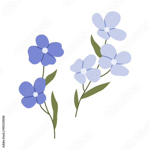 Delphinium flower