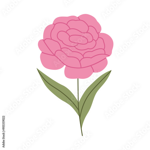 Simple pink peony flower