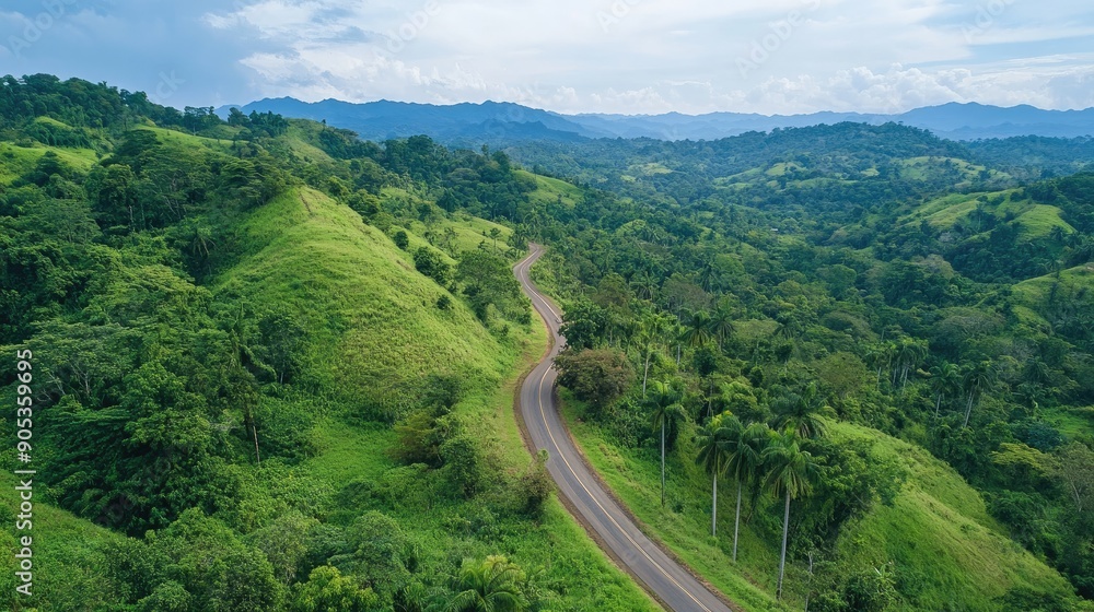 Aerial view of a countryside road traversing lush green forest and rolling hills. Aerial view of a countryside road traversing lush green forest and rolling hills.