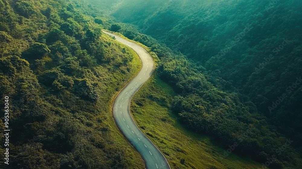 Aerial view of a winding road in a green forest on a mountainside. Aerial view of a winding road in a green forest on a mountainside.