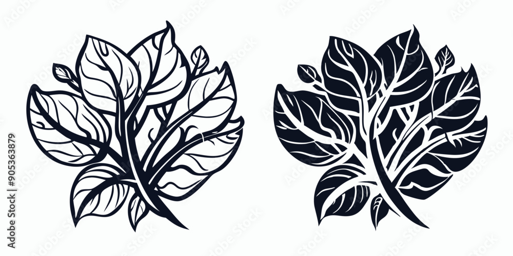 set of black and white Medicine leaves set of black and white Medicine leaves